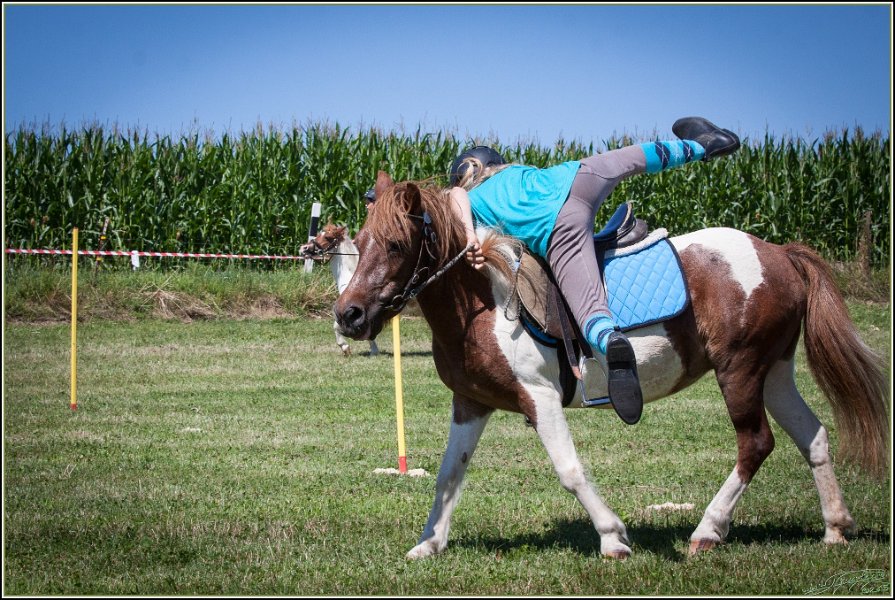 Mounted Games 119